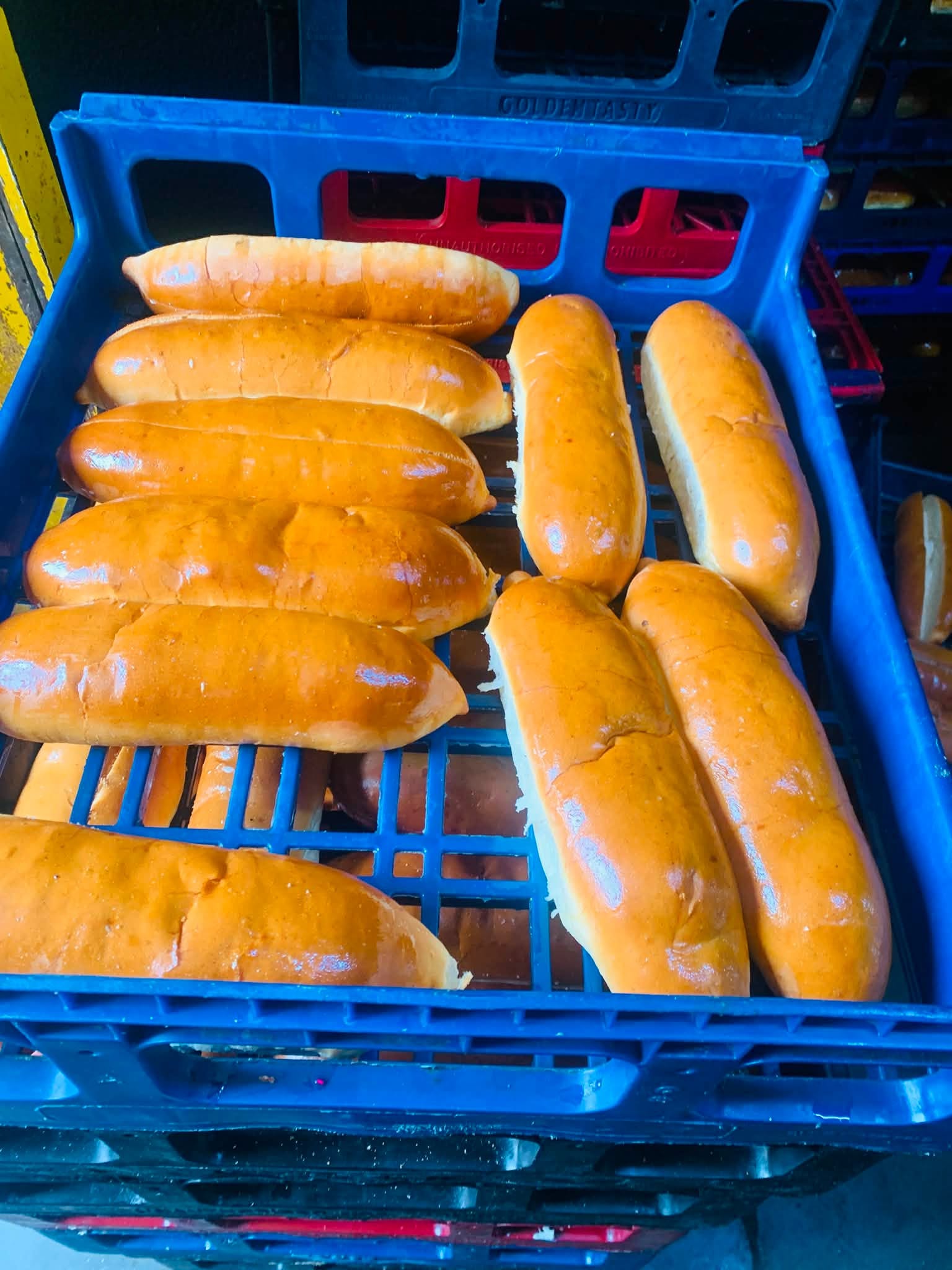 Golden Tasty buns ready to go